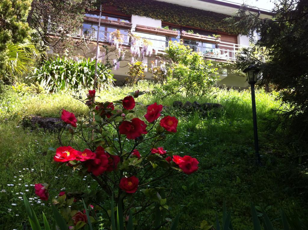B&B Le Ortensie -Lago Di Como Lierna Luaran gambar