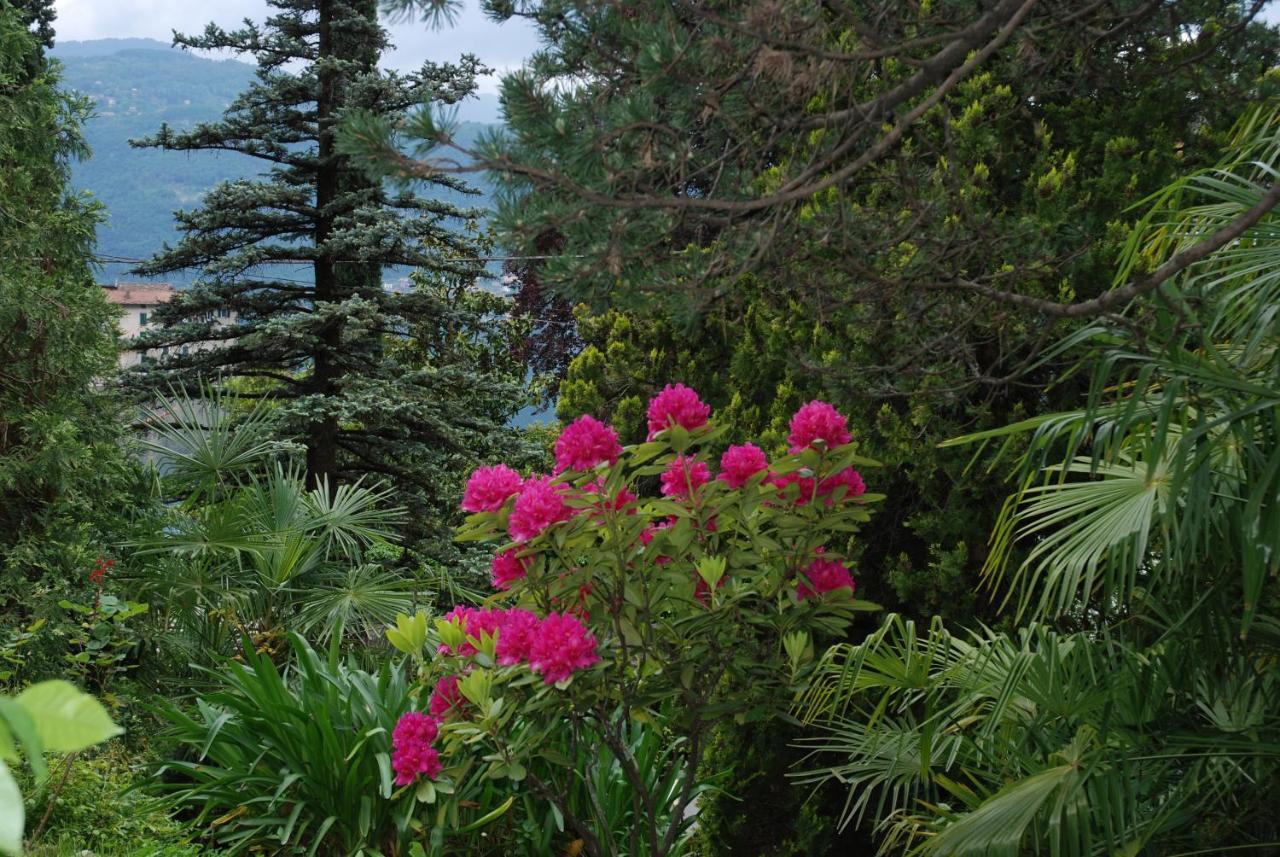 B&B Le Ortensie -Lago Di Como Lierna Luaran gambar